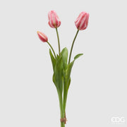 EDG Enzo De Gasperi Tulipán Gomatado Olis 3 Ramas H 48 Cm Rosa Crema 1 Paq