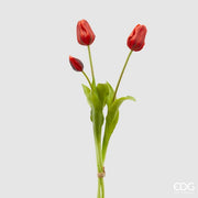 EDG Enzo De Gasperi Tulipán Goma Tallos 3 H 48 Cm Rojo 1 Paq