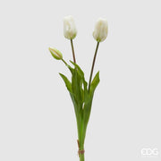 EDG Enzo De Gasperi Tulipán Gommato Olis 3 Ramas H 48 Cm Blanco 1 Paq